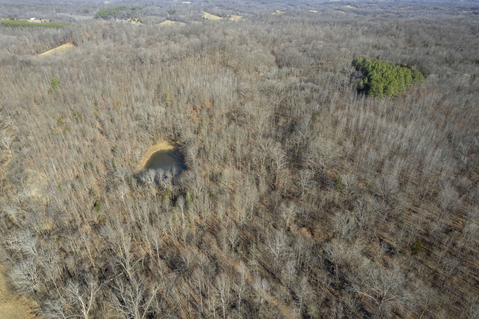 0 Wilderness Retreat Road Jonesboro, IL 62952 - Photo 15 of 89