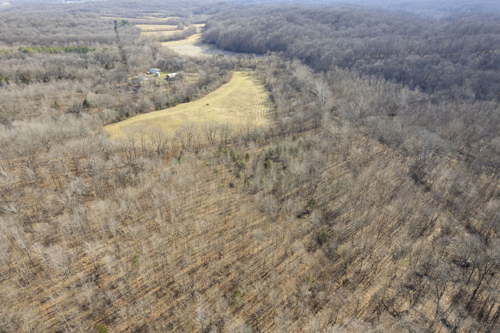 0 Wilderness Retreat Road Jonesboro, IL 62952 - Photo 16 of 89