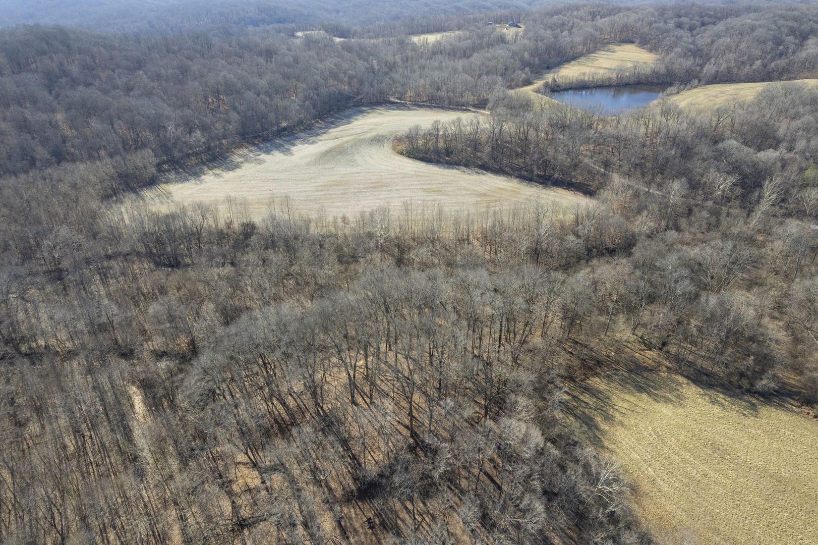 0 Wilderness Retreat Road Jonesboro, IL 62952 - Photo 17 of 89