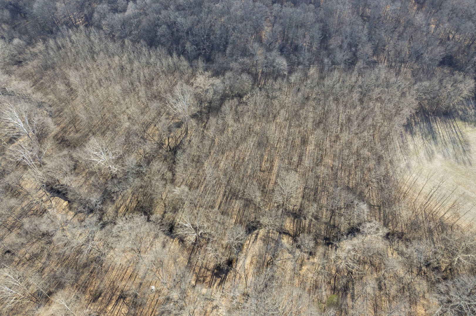 0 Wilderness Retreat Road Jonesboro, IL 62952 - Photo 18 of 89