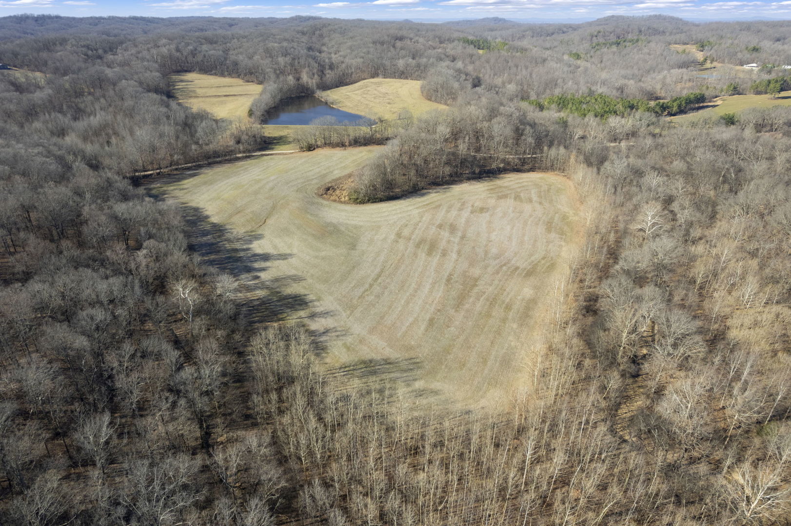 0 Wilderness Retreat Road Jonesboro, IL 62952 - Photo 19 of 89