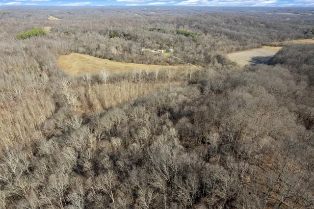 a view of a back yard