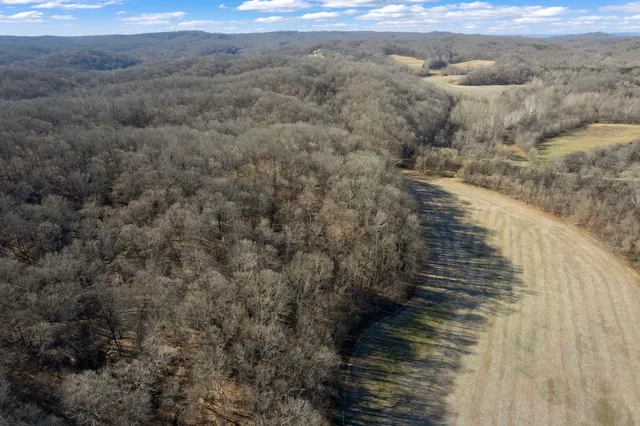 a view of a dry yard in a field
