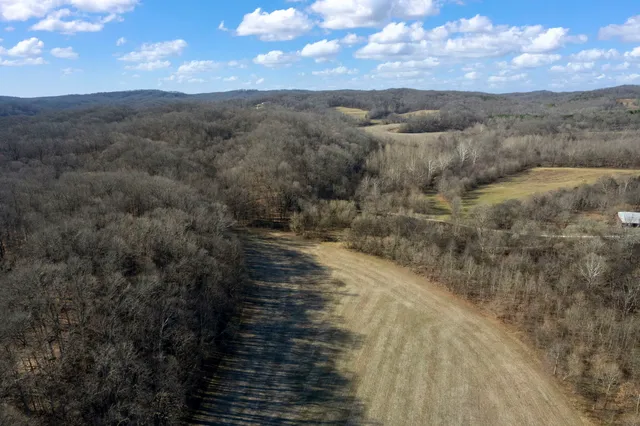 a view of a forest with a yard