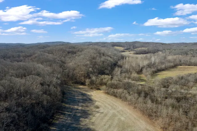 a view of a yard with plants and trees