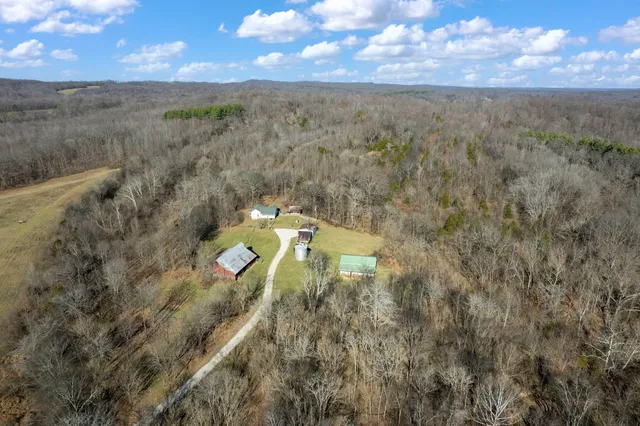 a view of a tree with a yard