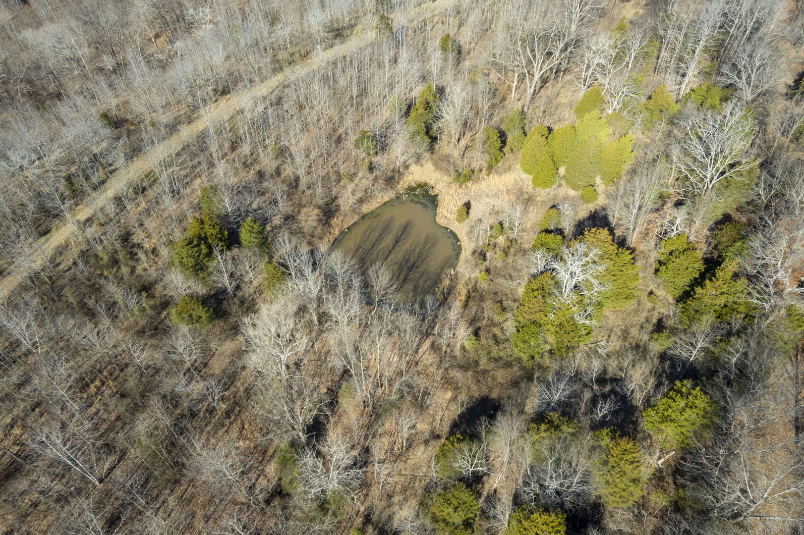 0 Wilderness Retreat Road Jonesboro, IL 62952 - Photo 30 of 89