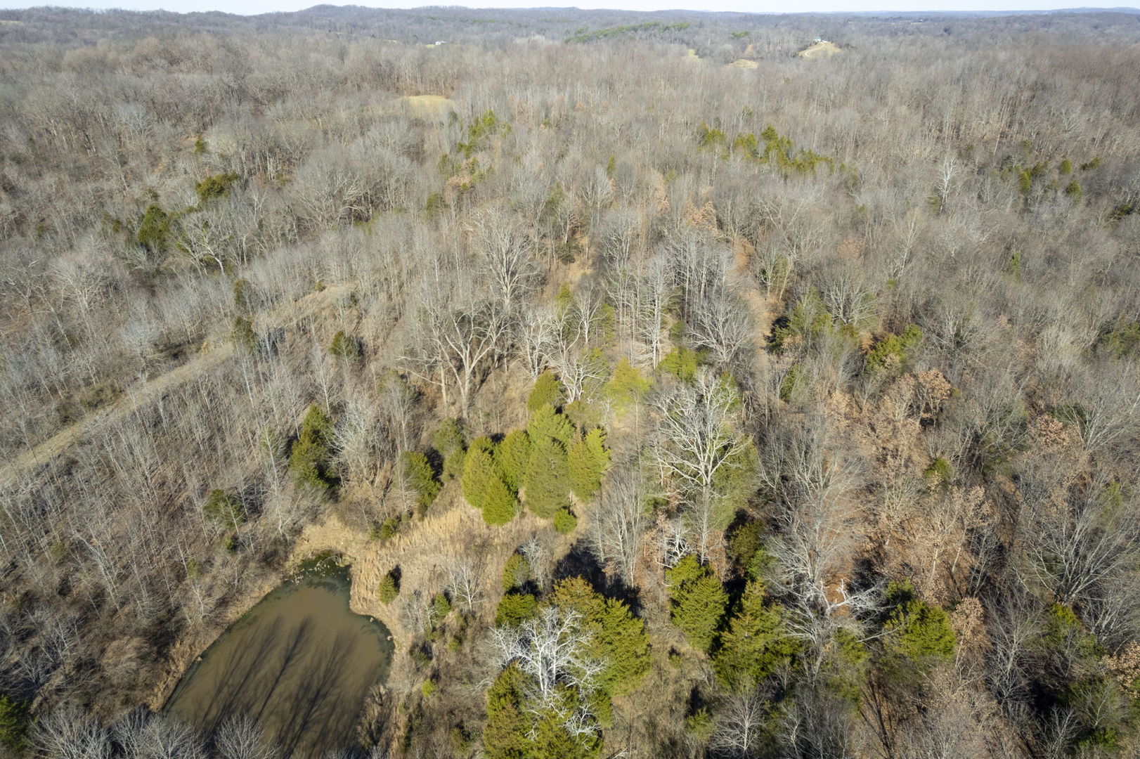 0 Wilderness Retreat Road Jonesboro, IL 62952 - Photo 31 of 89