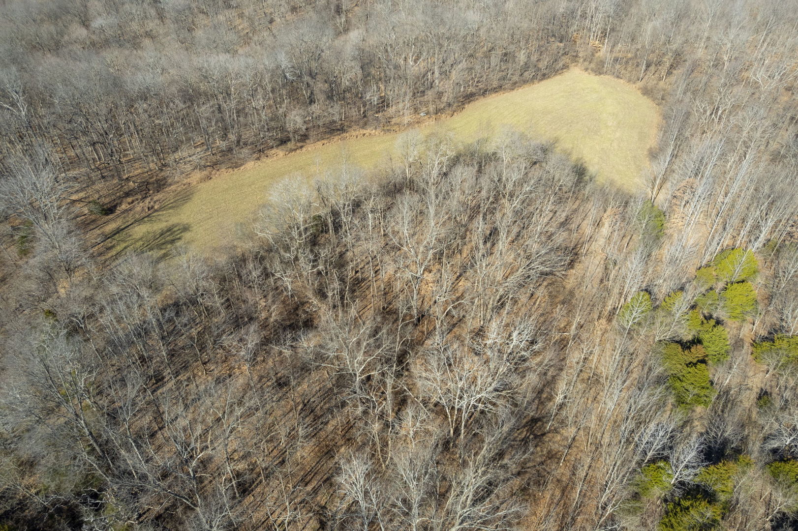 0 Wilderness Retreat Road Jonesboro, IL 62952 - Photo 32 of 89
