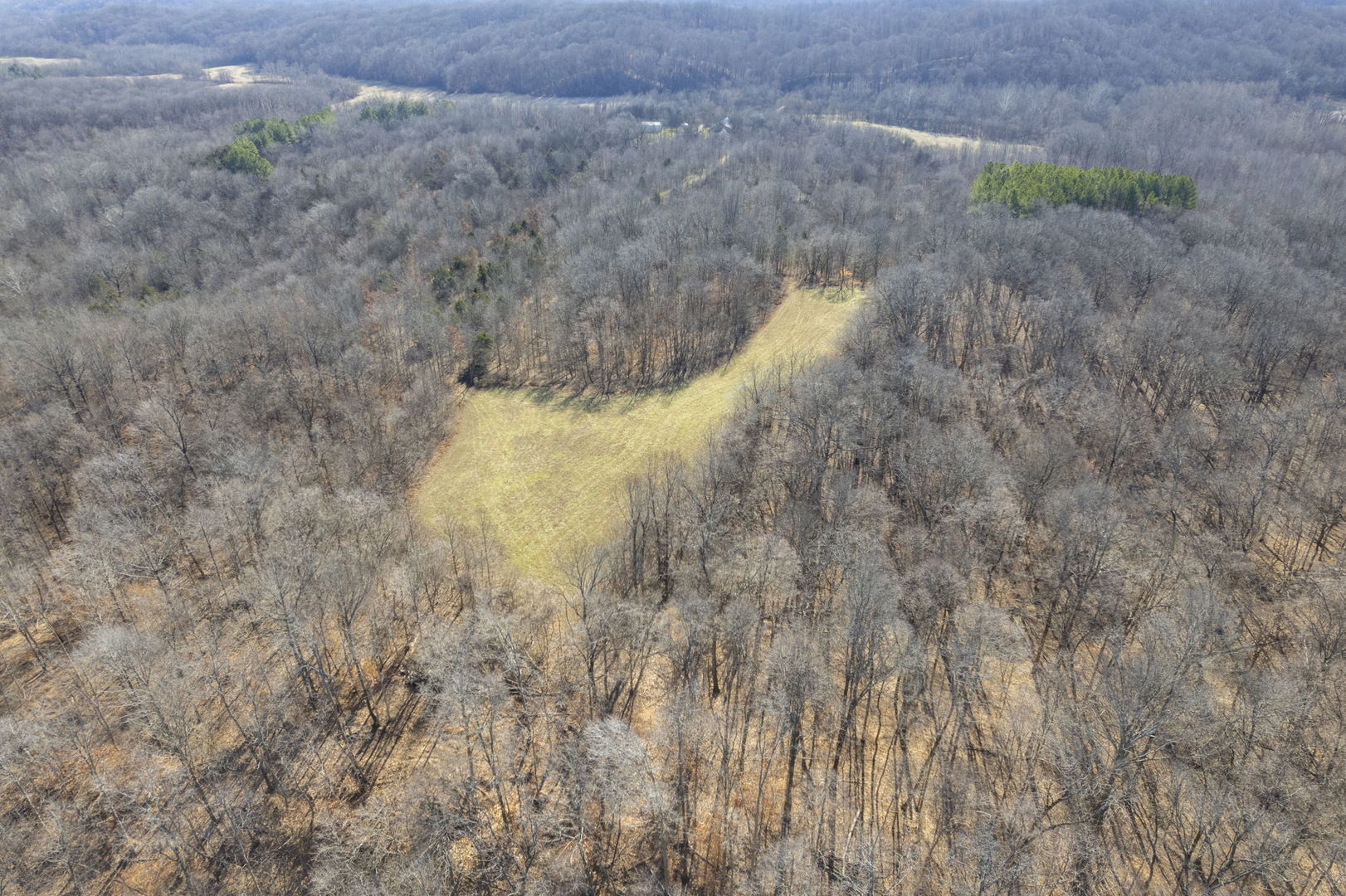 0 Wilderness Retreat Road Jonesboro, IL 62952 - Photo 33 of 89