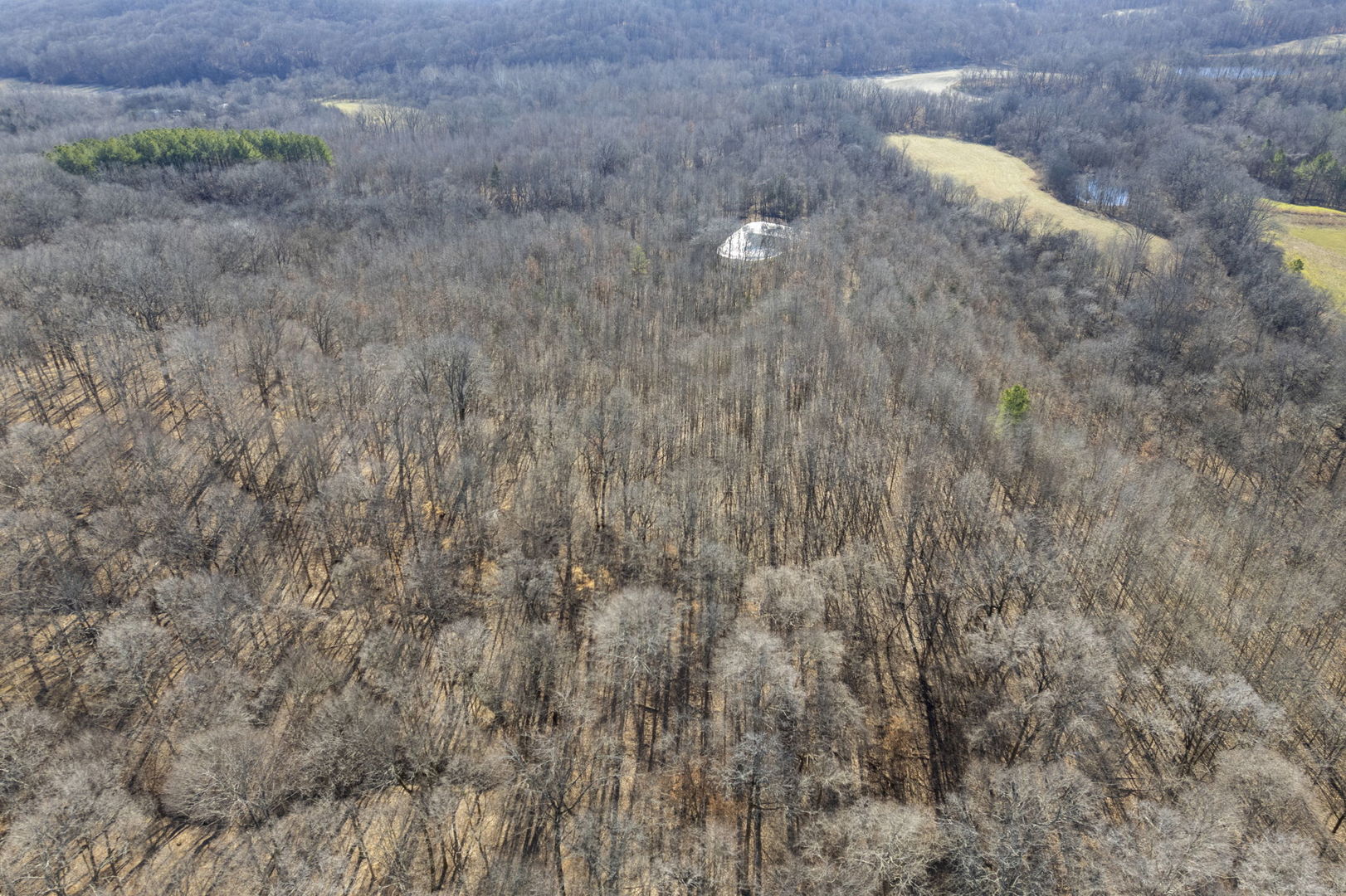 0 Wilderness Retreat Road Jonesboro, IL 62952 - Photo 34 of 89