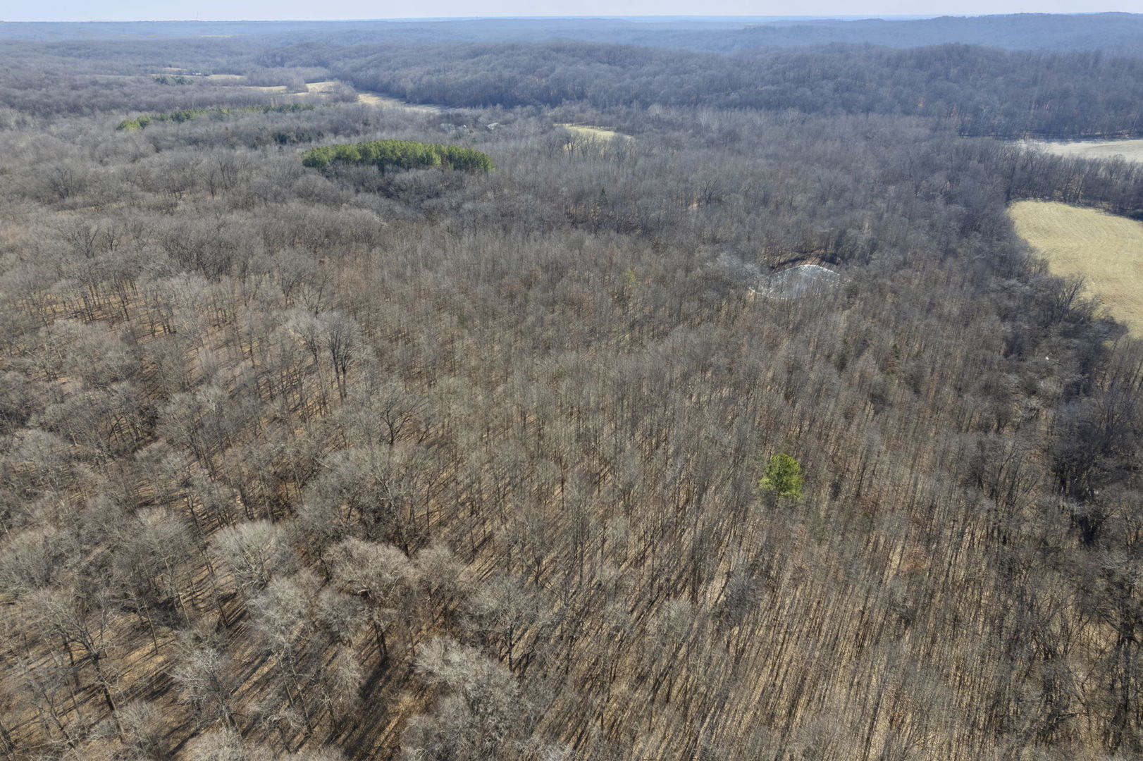 0 Wilderness Retreat Road Jonesboro, IL 62952 - Photo 35 of 89