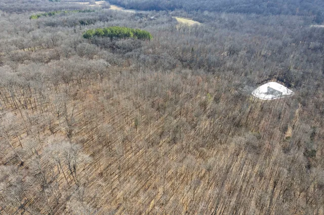 a view of backyard with green space