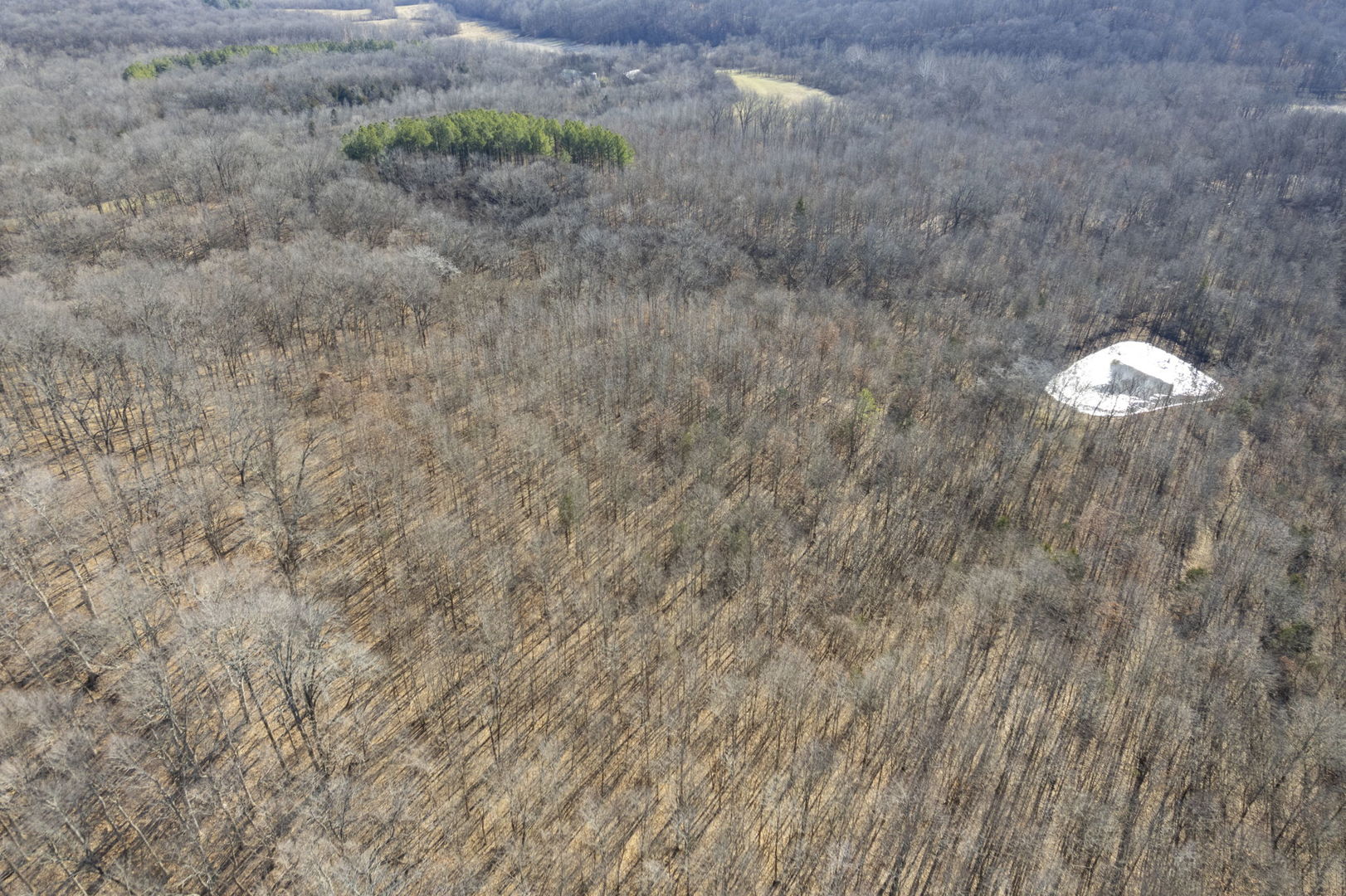 0 Wilderness Retreat Road Jonesboro, IL 62952 - Photo 36 of 89