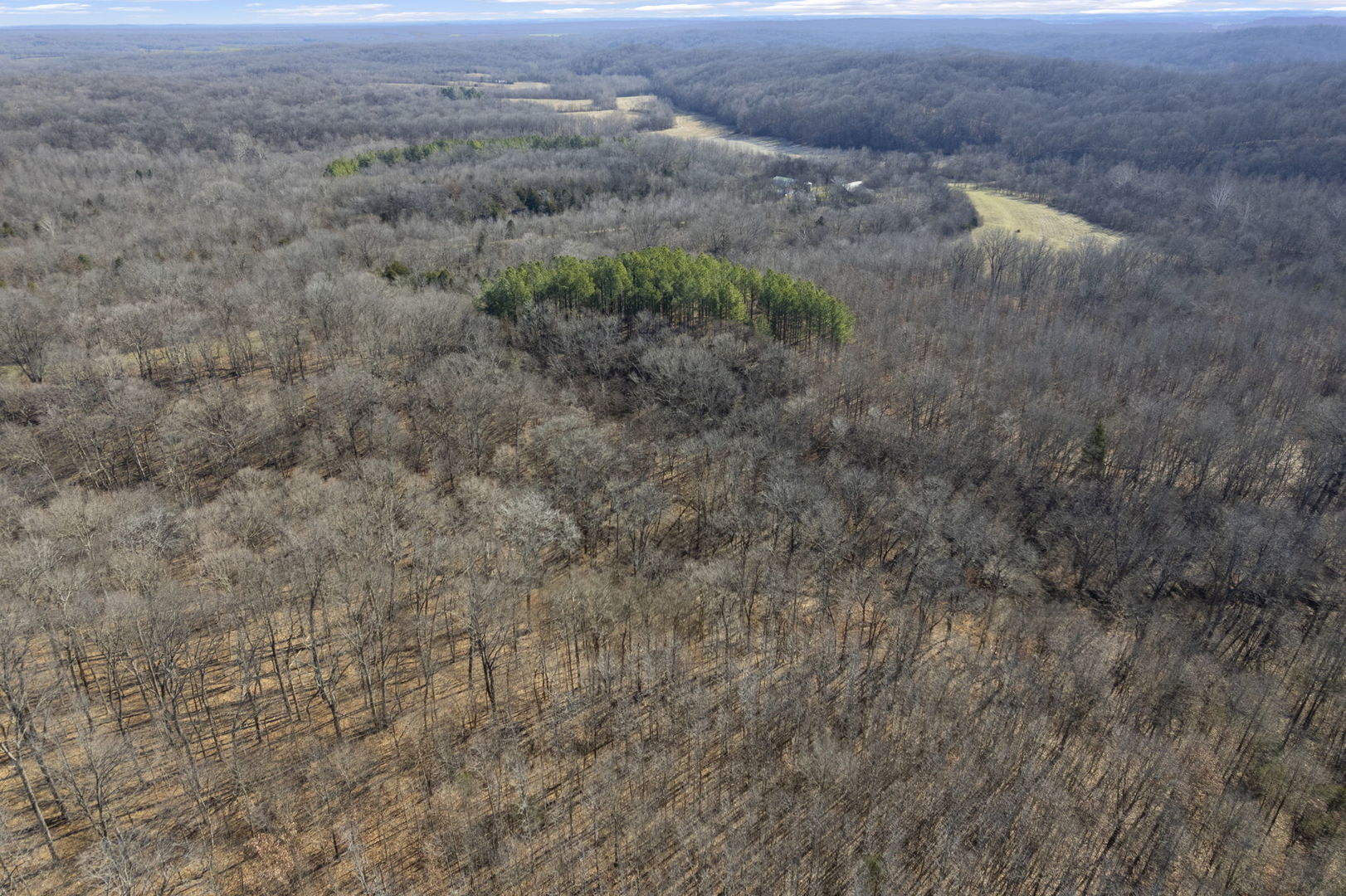 0 Wilderness Retreat Road Jonesboro, IL 62952 - Photo 37 of 89