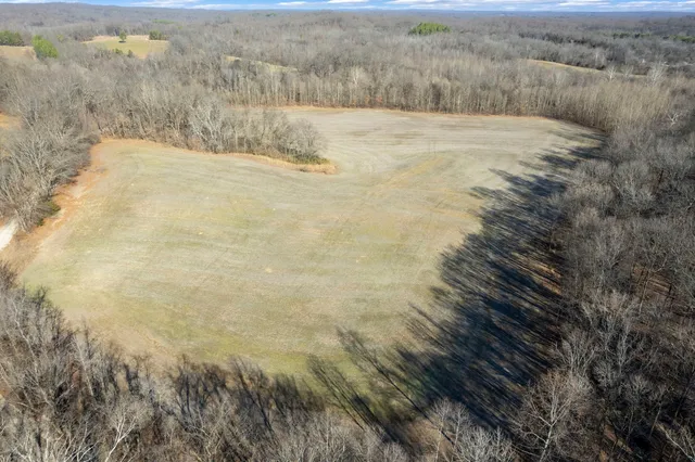 a view of a lake in middle of the forest