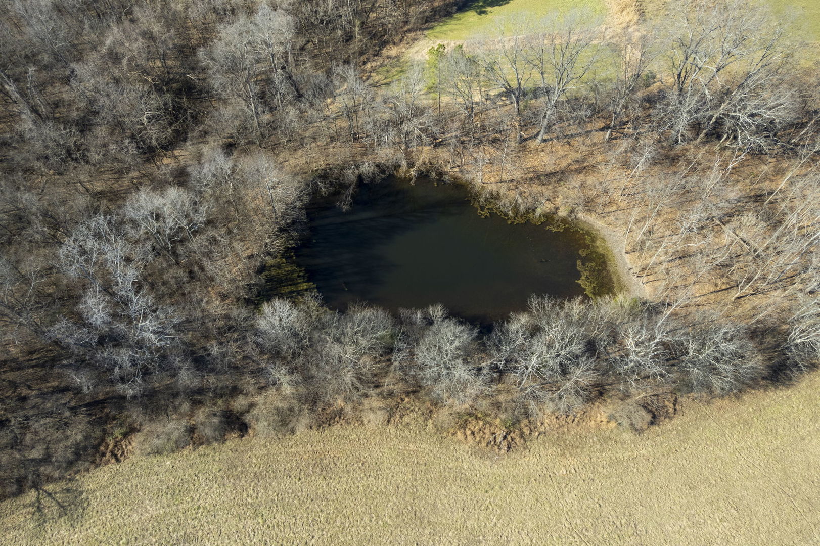 0 Wilderness Retreat Road Jonesboro, IL 62952 - Photo 45 of 89