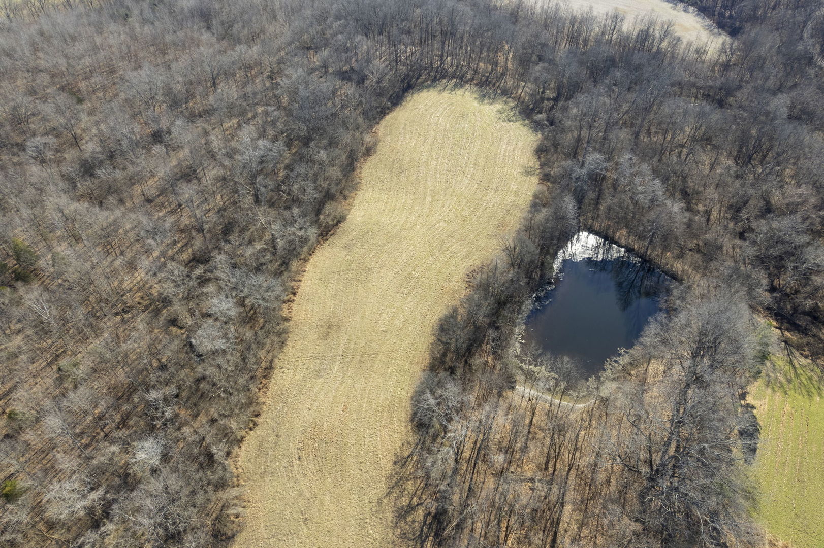 0 Wilderness Retreat Road Jonesboro, IL 62952 - Photo 46 of 89