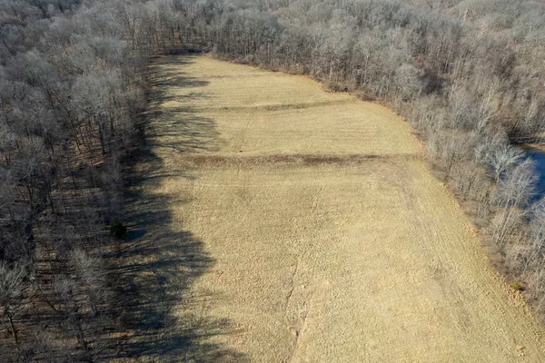 a view of a dry yard
