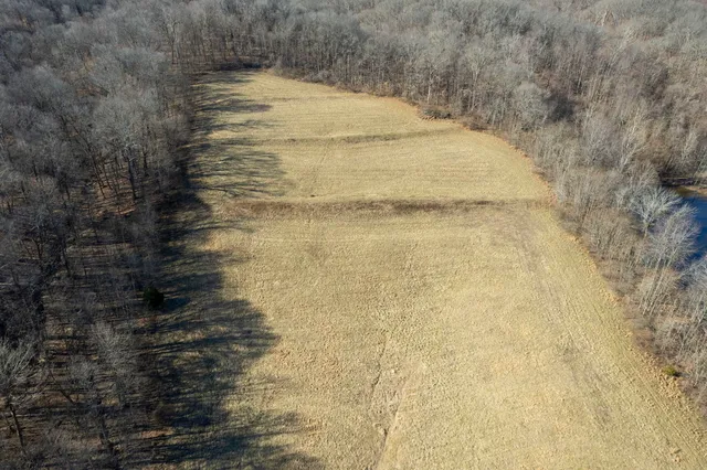 a view of a dry yard