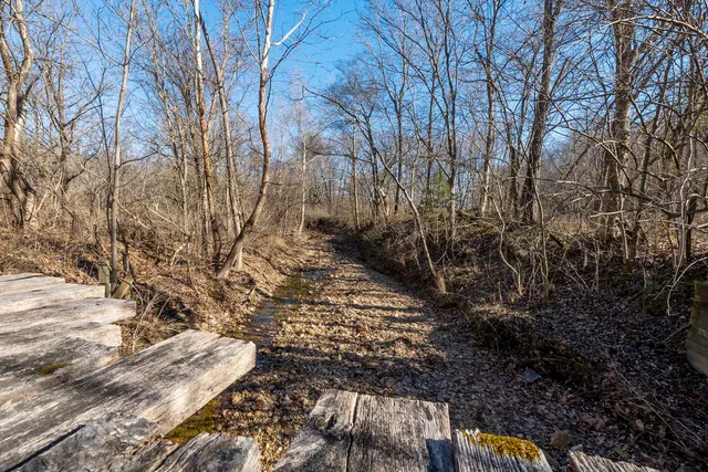 $1,852,500 | 0 Wilderness Retreat Road, Jonesboro, IL 62952