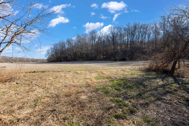 $1,852,500 | 0 Wilderness Retreat Road, Jonesboro, IL 62952