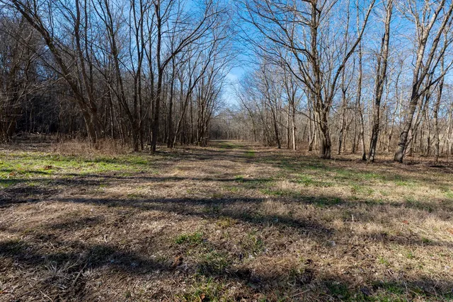 $1,852,500 | 0 Wilderness Retreat Road, Jonesboro, IL 62952