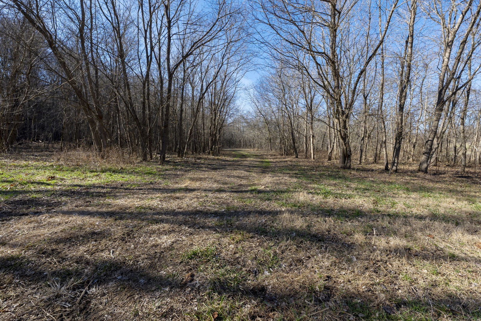 0 Wilderness Retreat Road Jonesboro, IL 62952 - Photo 58 of 89