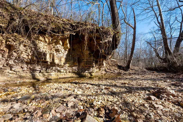 $1,852,500 | 0 Wilderness Retreat Road, Jonesboro, IL 62952