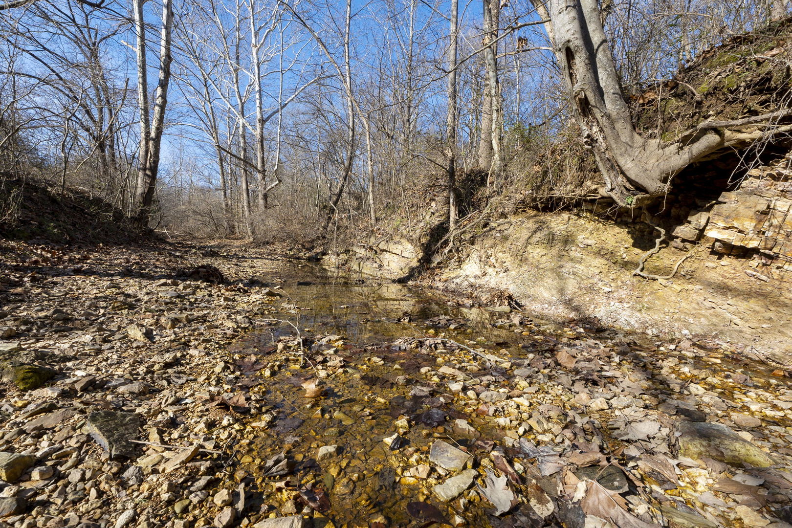 0 Wilderness Retreat Road Jonesboro, IL 62952 - Photo 60 of 89