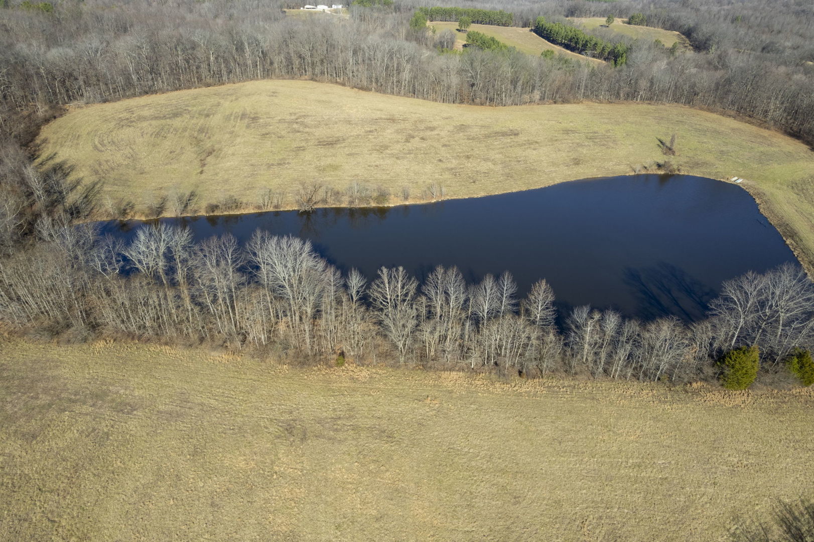 0 Wilderness Retreat Road Jonesboro, IL 62952 - Photo 6 of 89