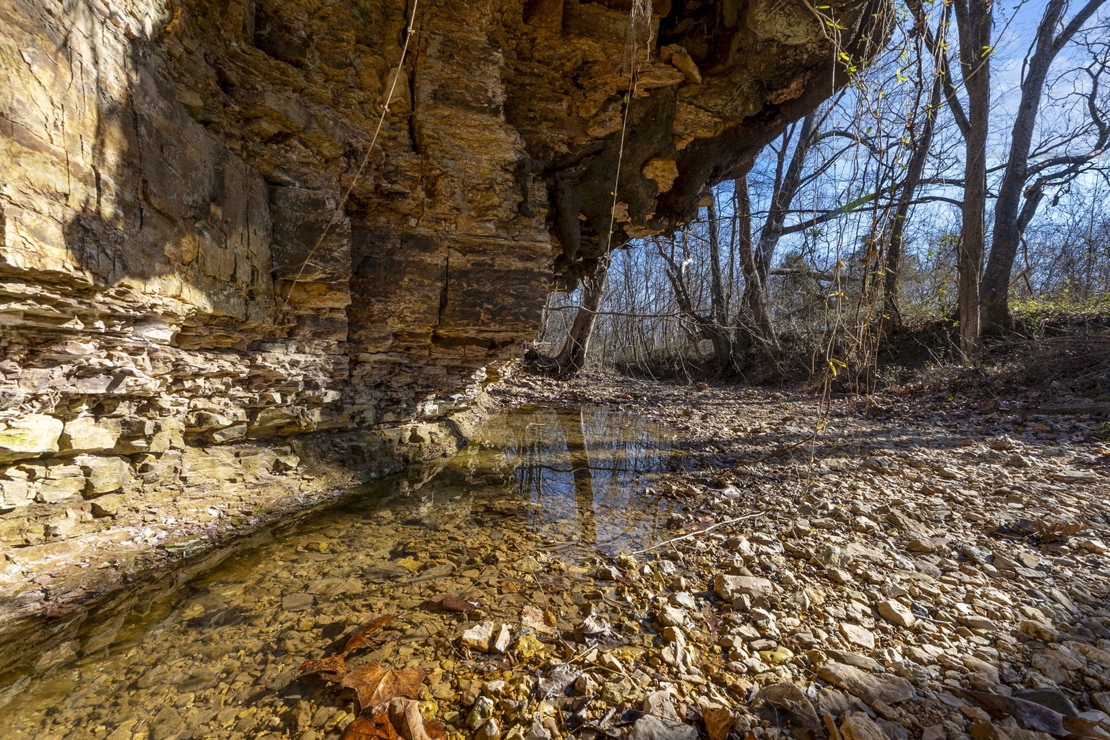 0 Wilderness Retreat Road Jonesboro, IL 62952 - Photo 61 of 89