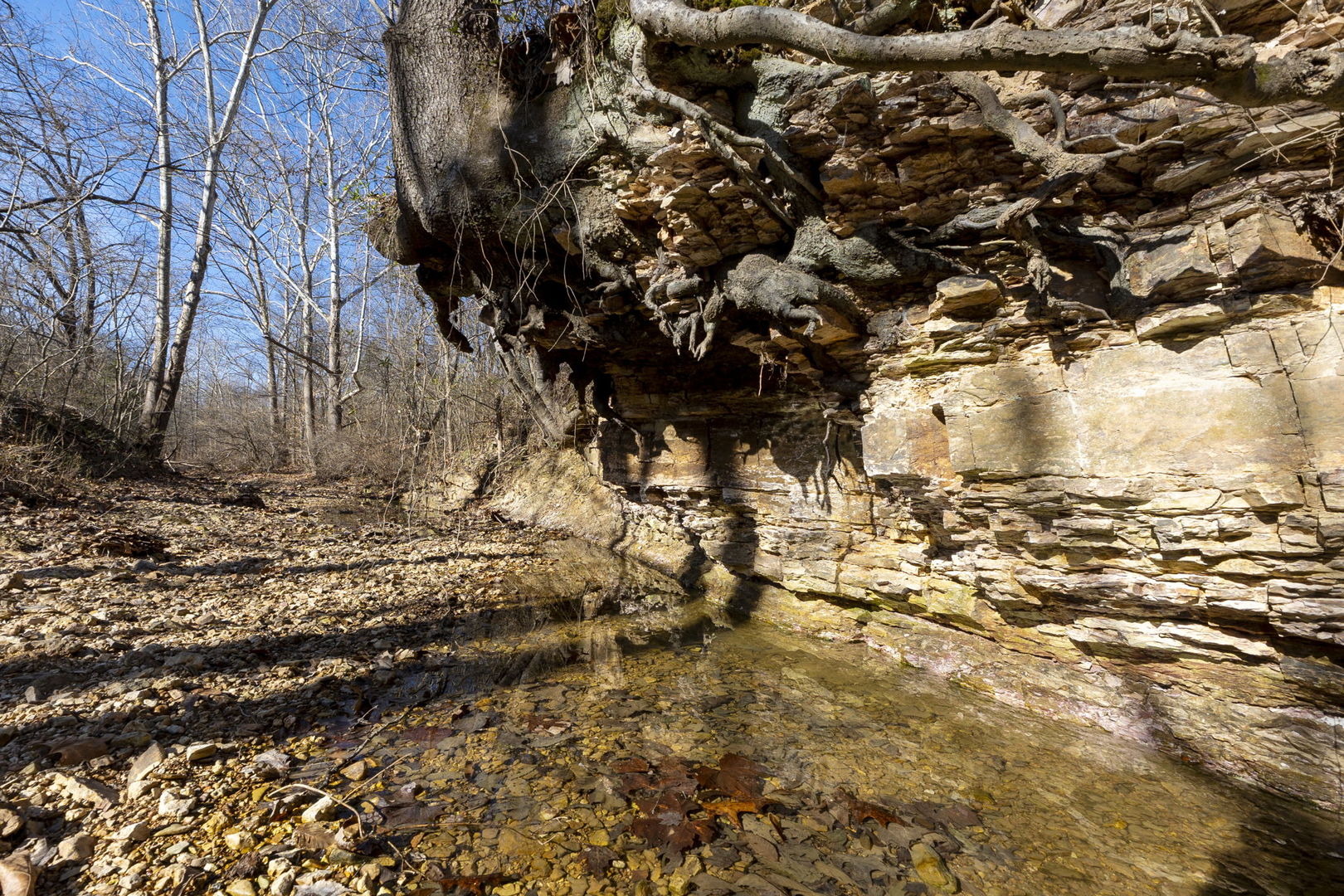 0 Wilderness Retreat Road Jonesboro, IL 62952 - Photo 62 of 89