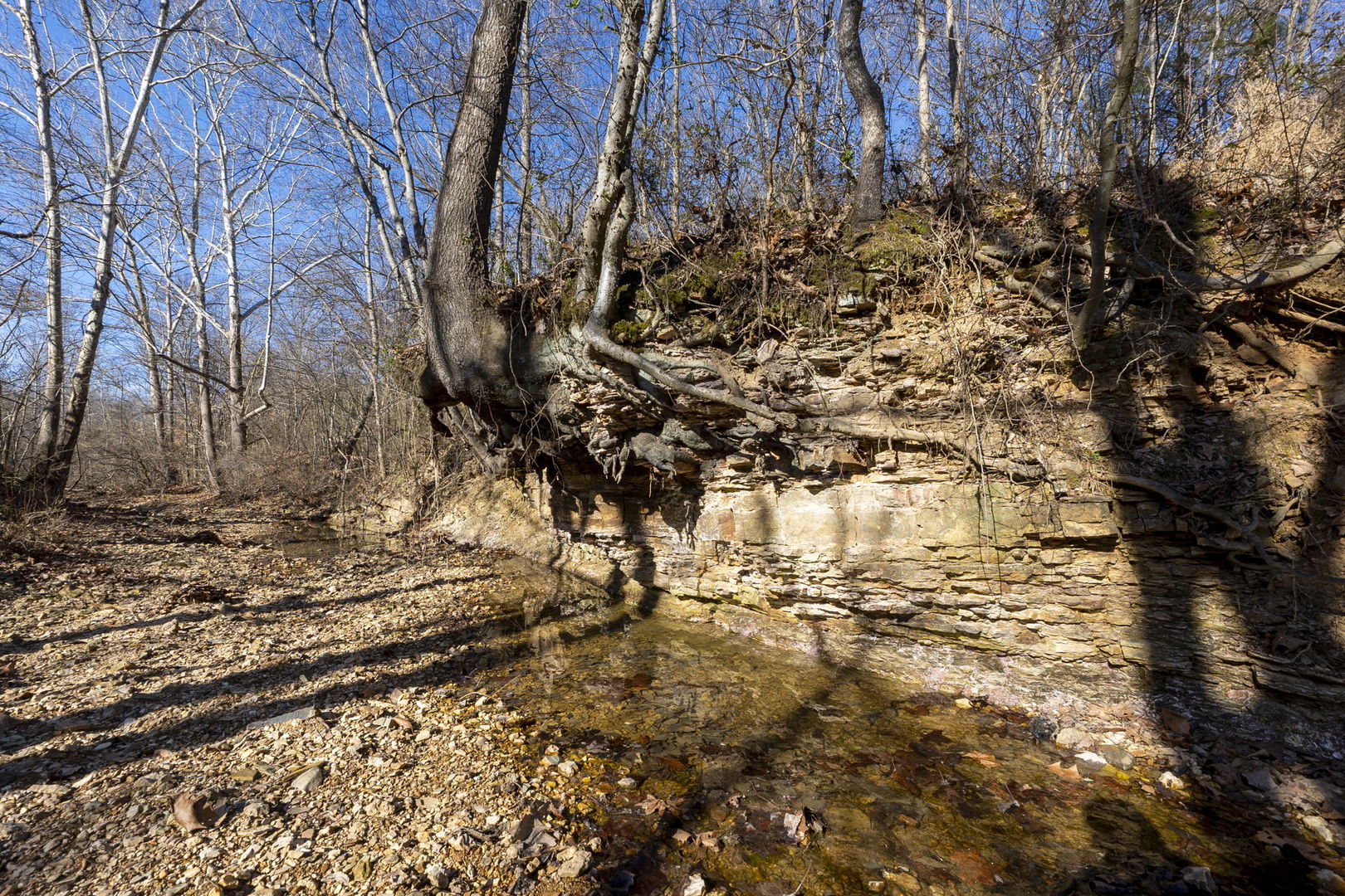 0 Wilderness Retreat Road Jonesboro, IL 62952 - Photo 63 of 89