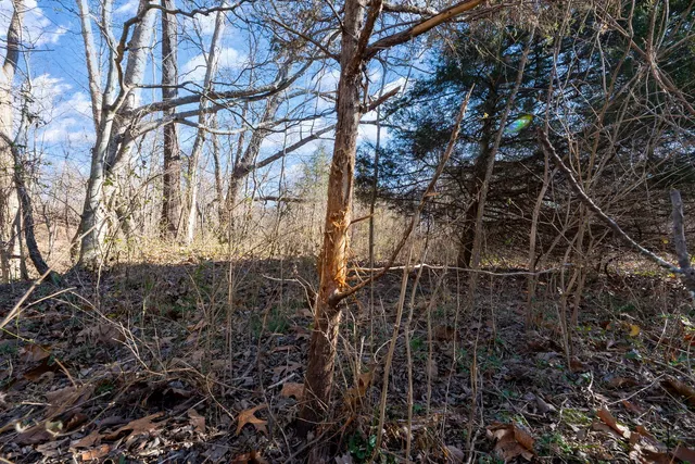 $1,852,500 | 0 Wilderness Retreat Road, Jonesboro, IL 62952