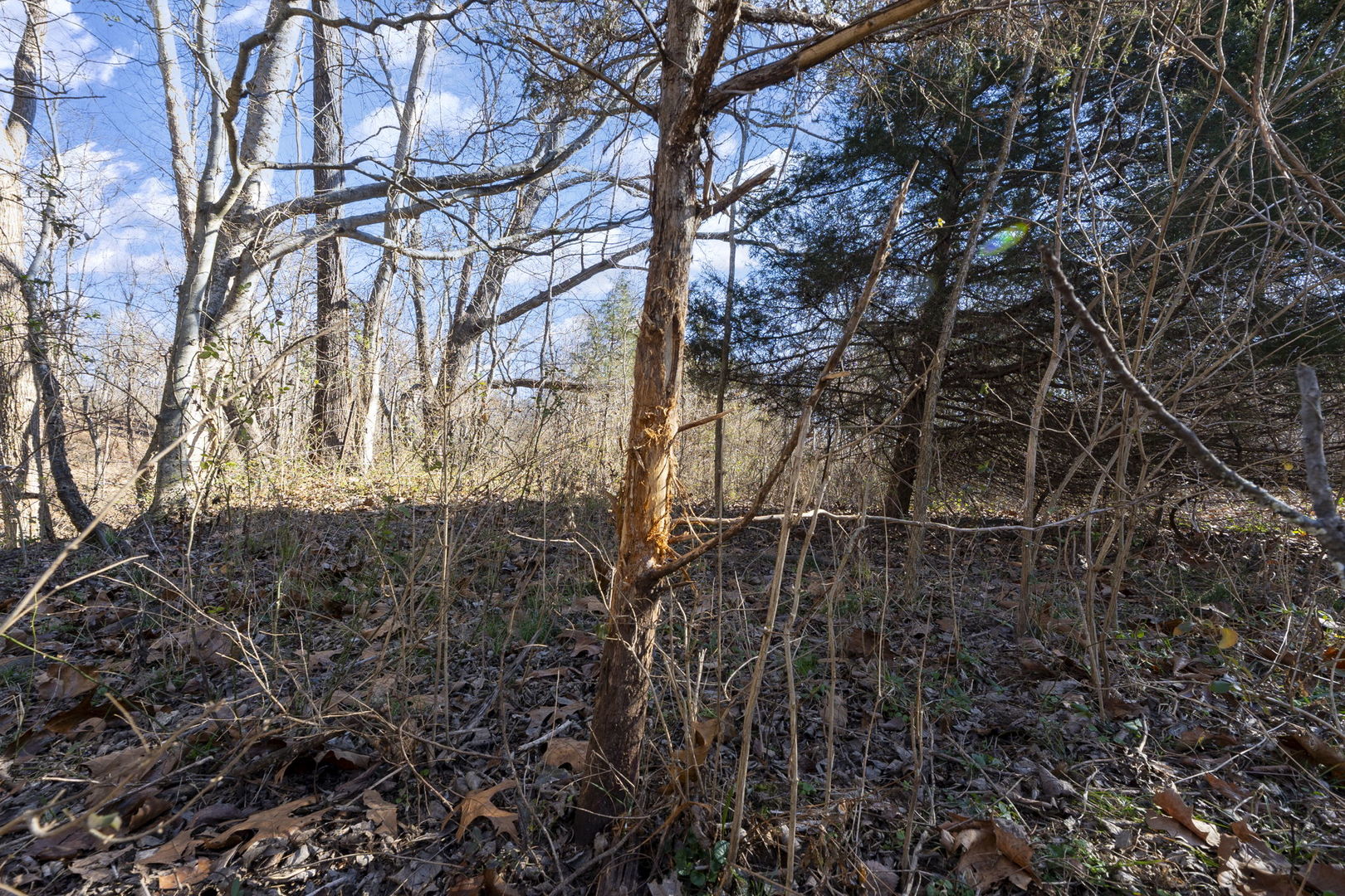 0 Wilderness Retreat Road Jonesboro, IL 62952 - Photo 64 of 89