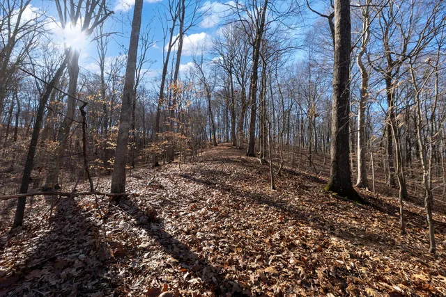 $1,852,500 | 0 Wilderness Retreat Road, Jonesboro, IL 62952