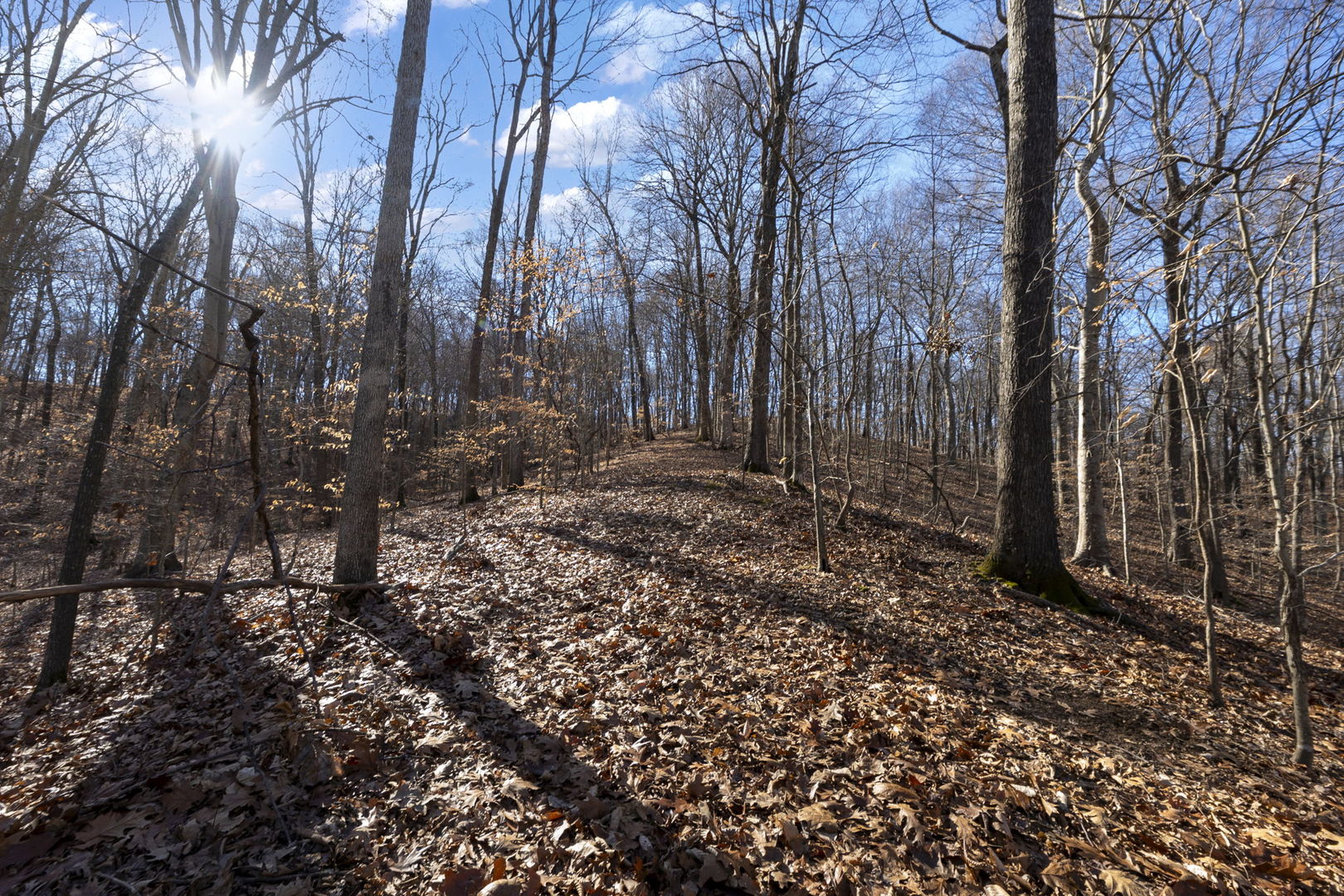 0 Wilderness Retreat Road Jonesboro, IL 62952 - Photo 66 of 89
