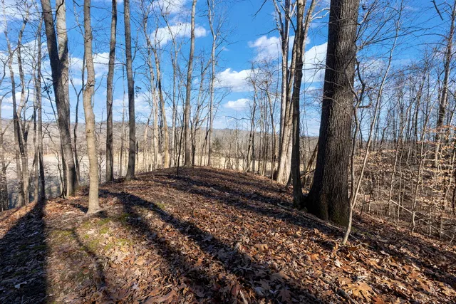 $1,852,500 | 0 Wilderness Retreat Road, Jonesboro, IL 62952