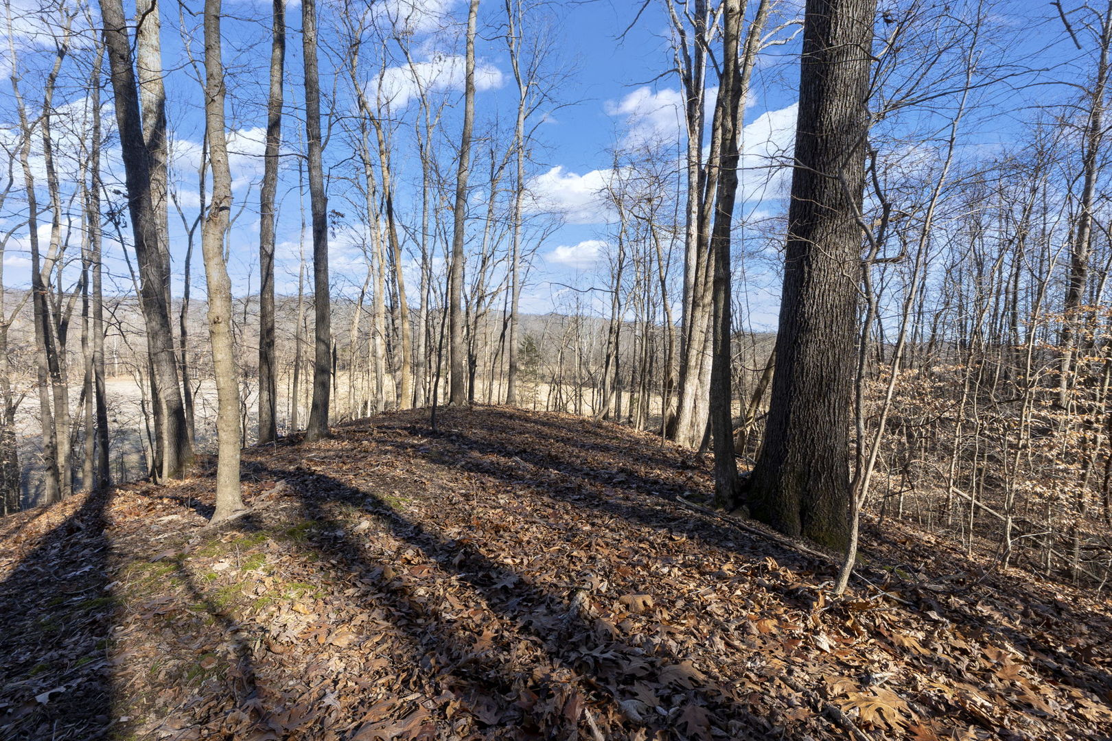 0 Wilderness Retreat Road Jonesboro, IL 62952 - Photo 67 of 89