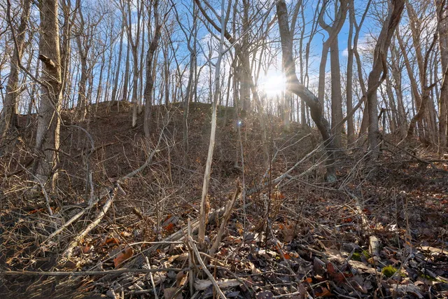 $1,852,500 | 0 Wilderness Retreat Road, Jonesboro, IL 62952