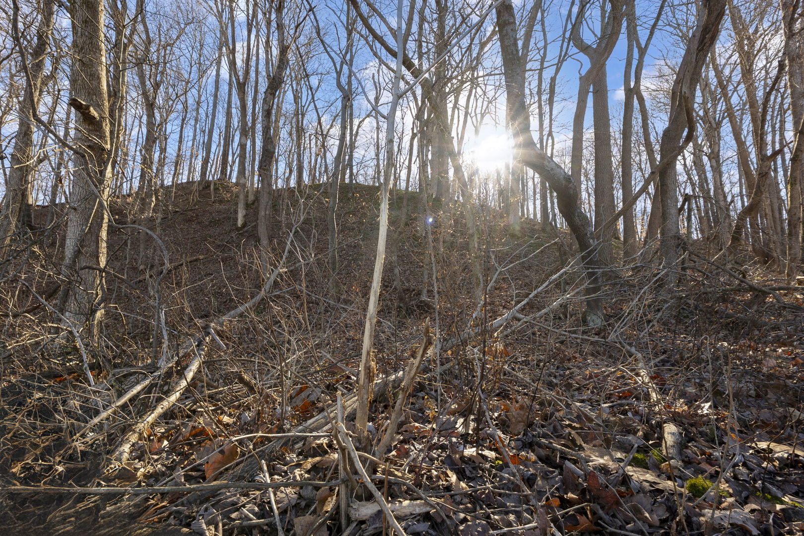 0 Wilderness Retreat Road Jonesboro, IL 62952 - Photo 68 of 89