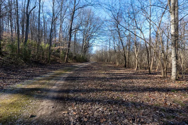 $1,852,500 | 0 Wilderness Retreat Road, Jonesboro, IL 62952