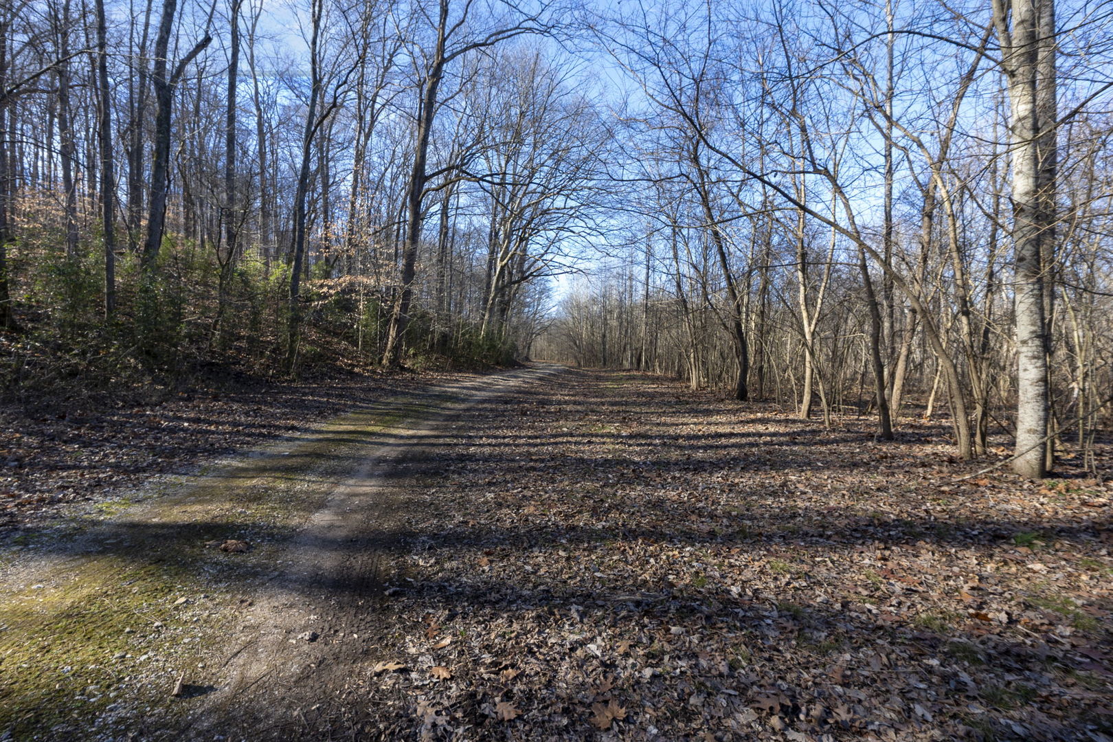 0 Wilderness Retreat Road Jonesboro, IL 62952 - Photo 69 of 89