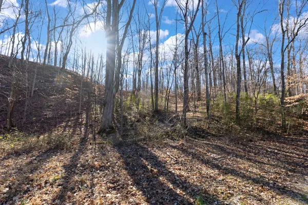 $1,852,500 | 0 Wilderness Retreat Road, Jonesboro, IL 62952