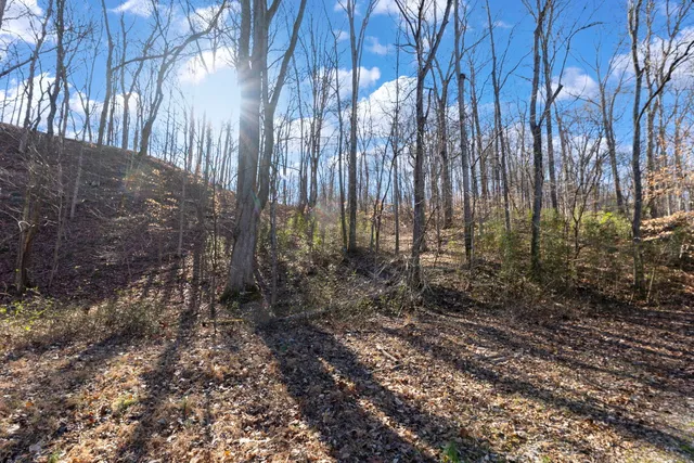 $1,852,500 | 0 Wilderness Retreat Road, Jonesboro, IL 62952