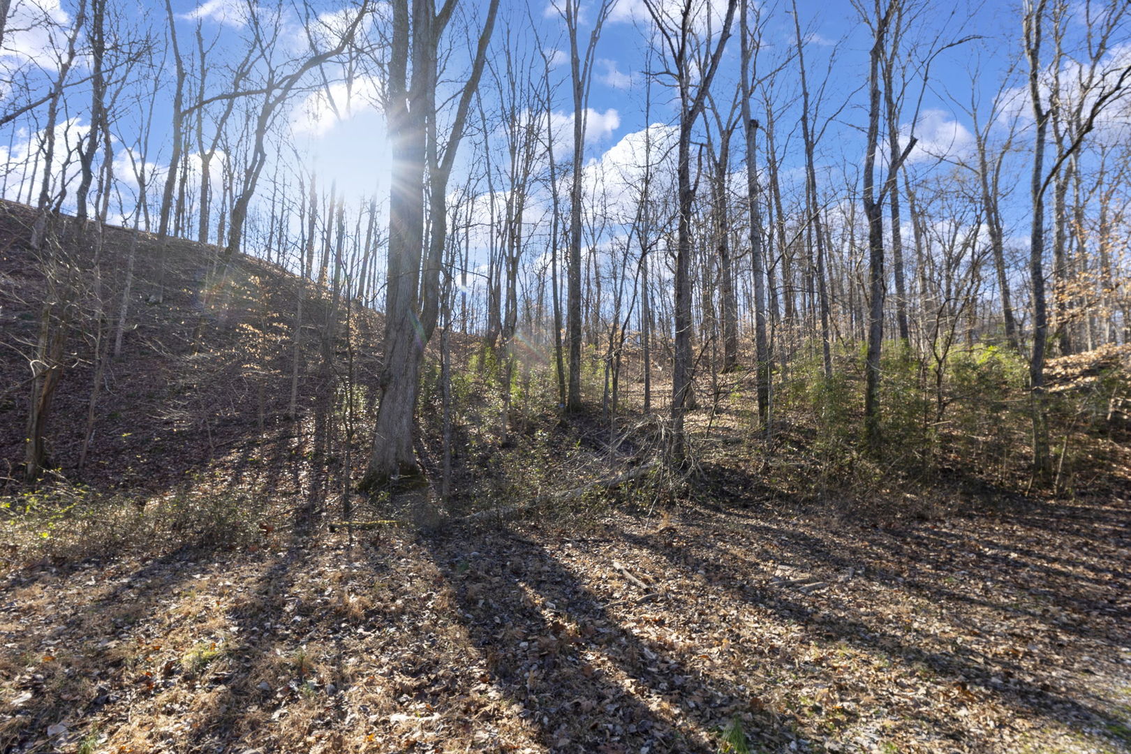 0 Wilderness Retreat Road Jonesboro, IL 62952 - Photo 70 of 89
