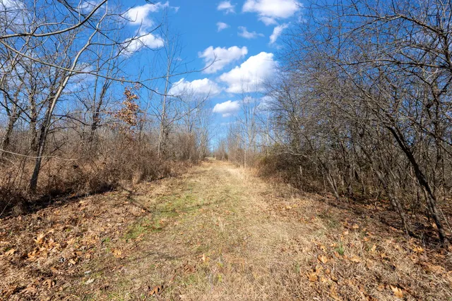 $1,852,500 | 0 Wilderness Retreat Road, Jonesboro, IL 62952