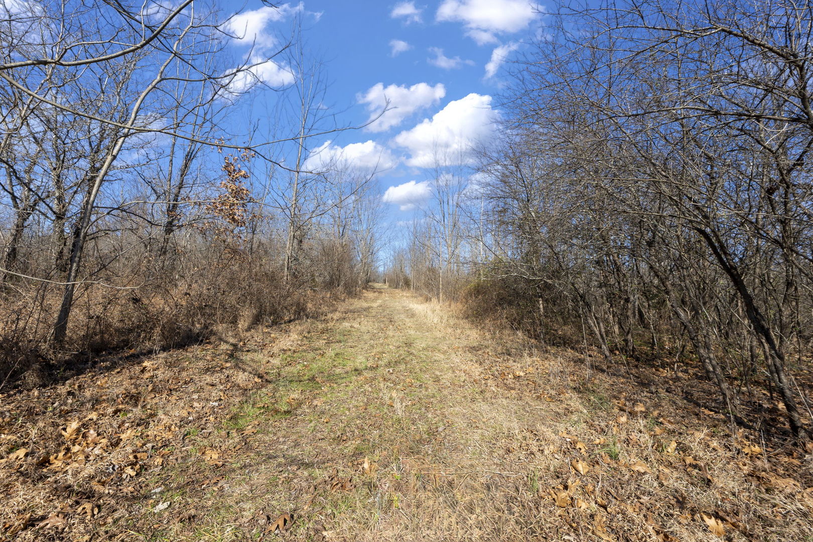 0 Wilderness Retreat Road Jonesboro, IL 62952 - Photo 71 of 89