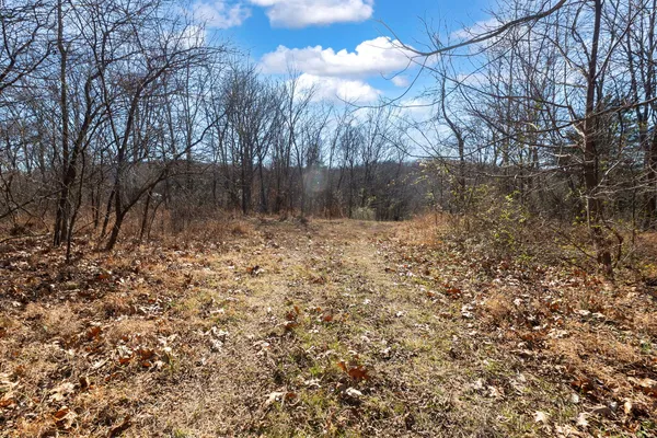 $1,852,500 | 0 Wilderness Retreat Road, Jonesboro, IL 62952
